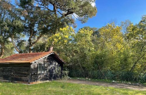 Labenne-Ocean Villa | Villa de rêve avec piscine à 400m de la plage - 8 pers, clim, Wifi, jardin, parking inclus - FR-1-413-227