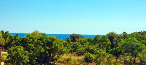 Favone Villa | Villa di Favona 4 chambres piscine privée