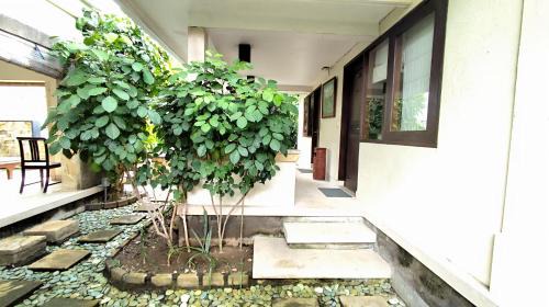 Dewi Sri Resort | Villa Diana Bali