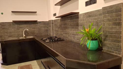 Weligama House | Villa Dinoos- Weligama