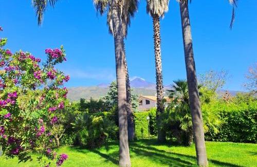 Zafferana Etnea House | Villa Domenico