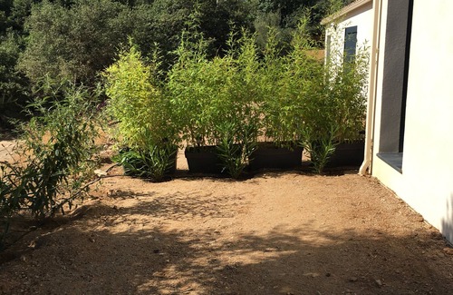 Cateri House | VILLA EN BALAGNE in CATERI