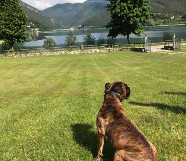 Molina di Ledro Apartment | Villa Etti