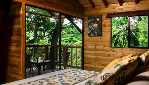 Palomino Bed & Breakfast | Villa Fátima Campestre