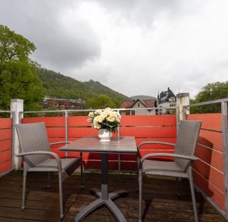 Bad Harzburg House | Villa Feise