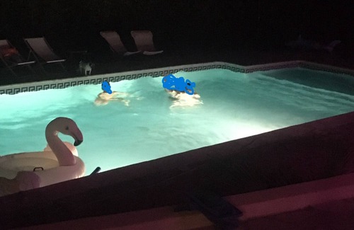 Saint-Clement-de-Riviere House | Villa à Montpellier au Calme Avec Piscine et Jacuzzi