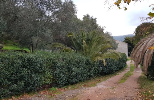 Vero House | VILLA