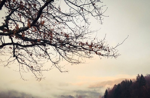 Fresse-sur-Moselle House | Villa Fresse-sur-Moselle, 1 bedroom, 4 persons