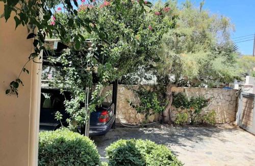 Plepi Villa | Villa Galazio