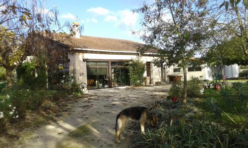 Castelmayran Bed & Breakfast | Villa Gazounette