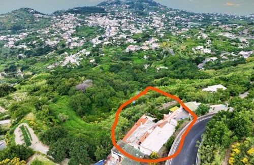 Serrara Fontana Villa | Villa Gesualda