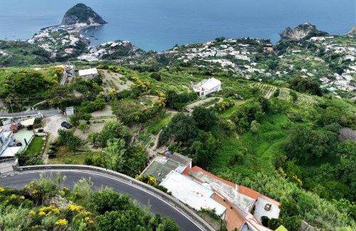 Serrara Fontana Villa | Villa Gesualda