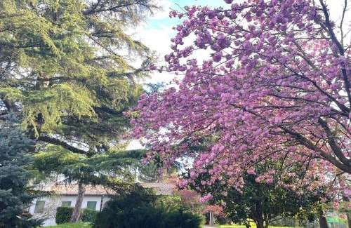 Padova Villa | Villa Giacinti