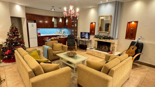 Gomfoi Apartment | Villa Gomfoi Trikala - Smart Town BnB