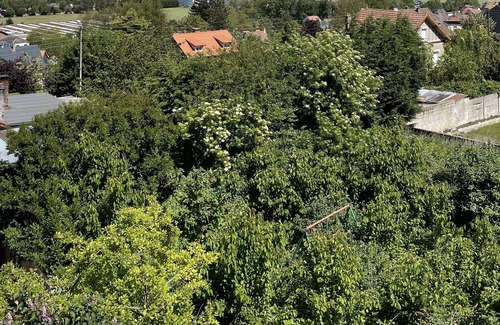 Eu House | Villa Gounod - Maison Proche de la mer Le Tréport