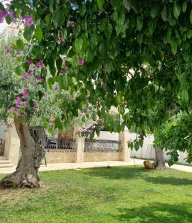 Municipio 4 Bed & Breakfast | Villa Guajira