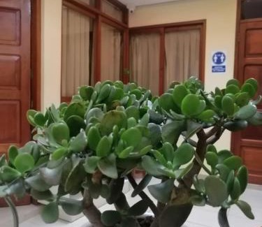 Villa Rica Hotel | Villa Hermosa