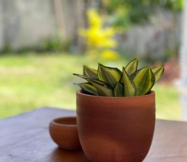 Weligama Hotel | Villa Hideout