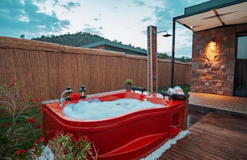 Hisaronu Villa | Villa Honey 6