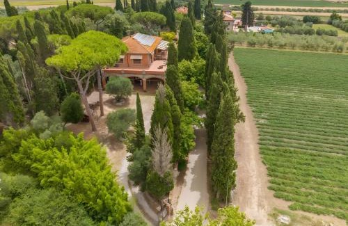Campiglia Marittima Villa | Villa I Tigli - Pervinca