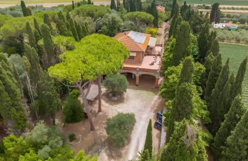 Campiglia Marittima Villa | Villa I Tigli - Pervinca