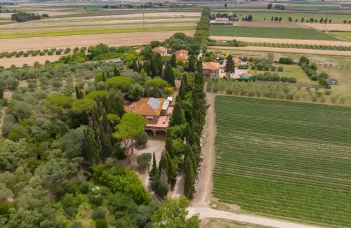 Campiglia Marittima Villa | Villa I Tigli - Pervinca