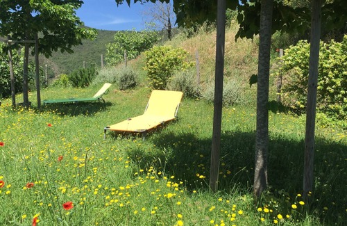 Tuoro sul Trasimeno House | Villa: Idylle on the hill above the Lago Trasimeno, border Umbria-Tuscany