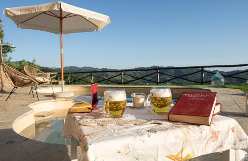 Camaiore Villa | Villa "Il Grillo" Piscina privata, Panorama e privacy