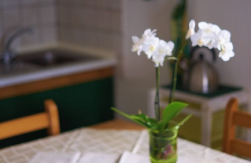 Ragusa Villa | Villa in ATHENA RESORT