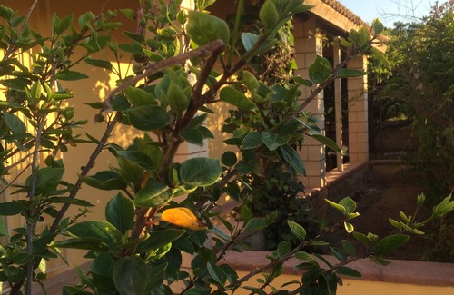 Noto Villa | Villa in Balata, Noto Marina