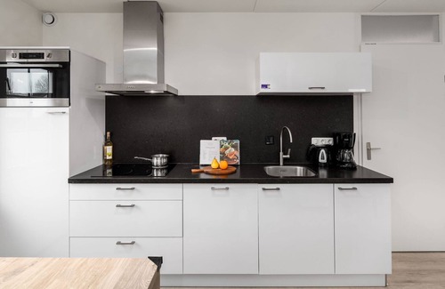 Kamperland Villa | Villa in Banjaard near North Sea Beach