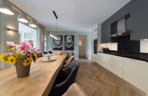 Colijnsplaat House | Villa in Colijnsplaat with Private Pool & Sauna