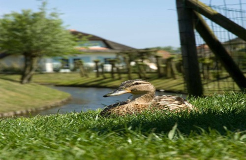 Domburg Villa | Villa in Domburg near North Sea Beach