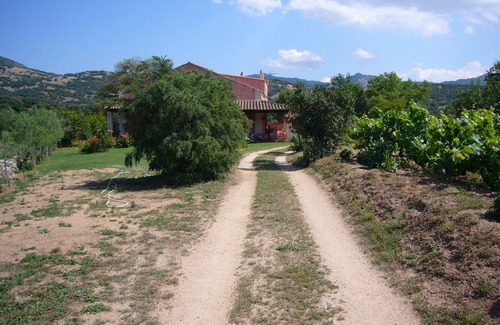 Sa Castanza Villa | Villa in Sardinia near Olbia