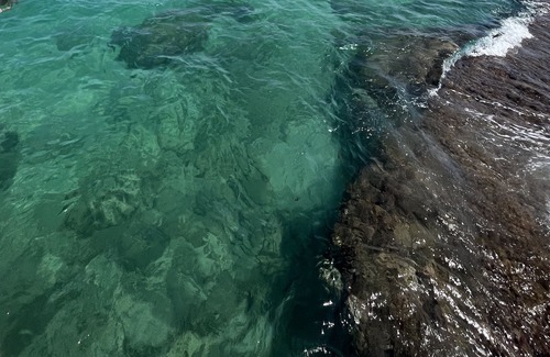 Mola di Bari Villa | Villa in the countryside 5 minutes from the sea, an ideal place to visit Puglia