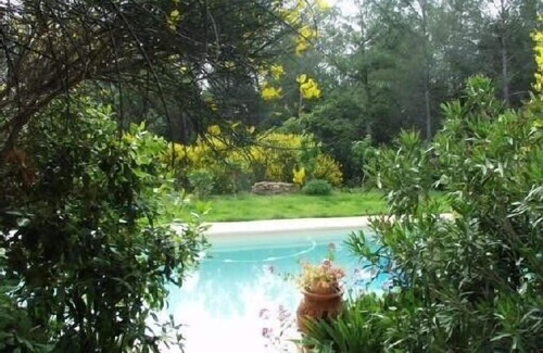 Trets Villa | Villa in the quiet of a large pine forest