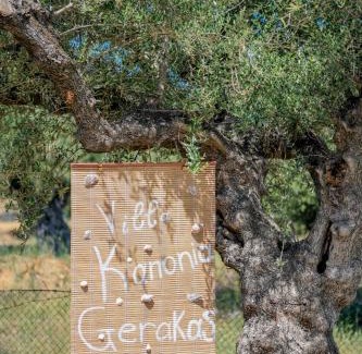 Vasilikos Villa | Villa Kanonia Gerakas