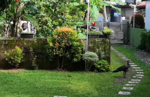 Thiranagama House | Villa Kivi