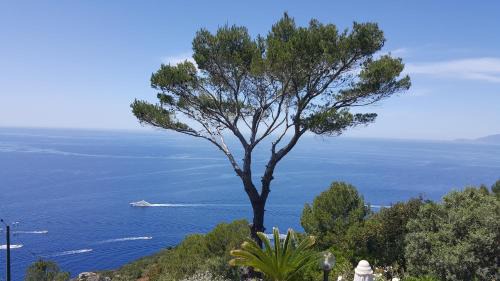Anacapri Bed & Breakfast | villa la guardia