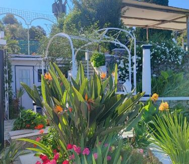 Anacapri Bed & Breakfast | villa la guardia