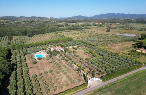 Cecina Villa | Villa La Rosa dei Venti