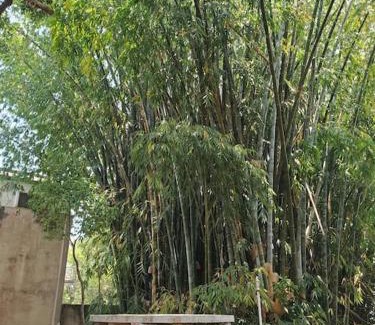 Ambohibao House | Villa Landy