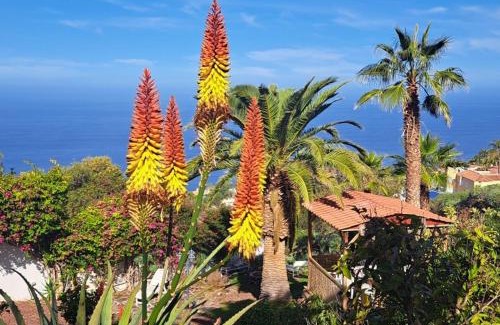 Sauzal Apartment | Villa Larnia de Tenerife