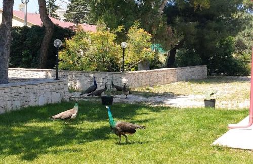 Municipio 1 House | Villa Laura