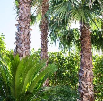 Maglie Bed & Breakfast | Villa Lazzari B&B Tra i due Mari