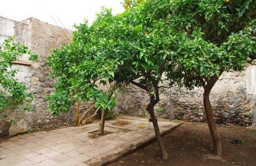 Ercolano House | villa liberata