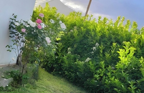 Prunelli-di-Fiumorbo House | Villa Lina 6 pers beaches and rivers
