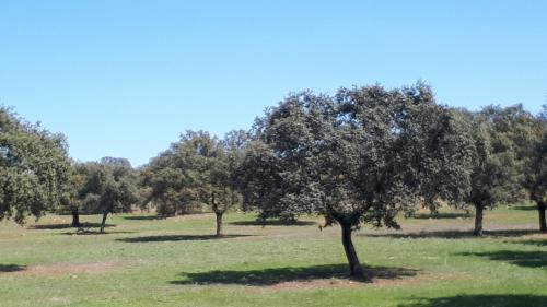 Vilches House | VILLA MARIA