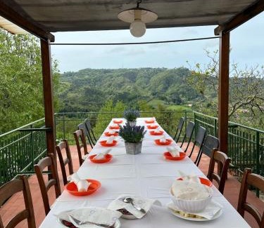 Camaiore House | Villa MariaPia