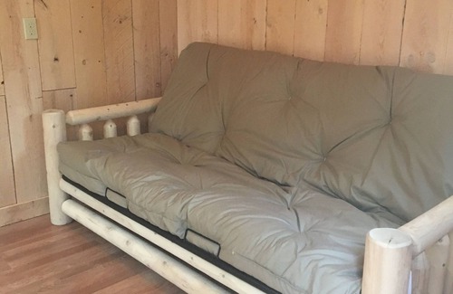East Durham Cabin | Villa Marie Tiny Cabin in the Mountains. AC. . Pool. Dog Friendly